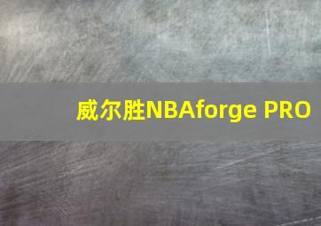 威尔胜NBAforge PRO